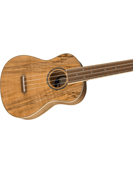 Fender Zuma WN spalted maple ukulele concert Guitar Maniac Nice