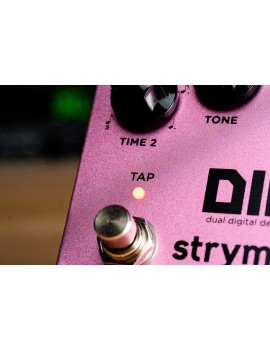 Strymon Dig V2 dual digital delay chez Guitar Maniac Nice