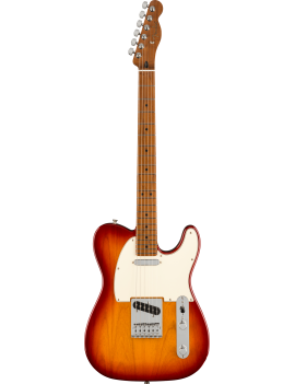 Fender limited edition Player Telecaster roasted MN Sienna sunburst 0144581547 Guitar Maniac Nice