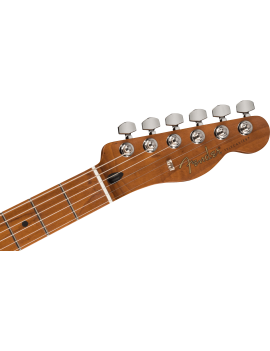 Fender limited edition Player Telecaster roasted MN Sienna sunburst 0144581547 Guitar Maniac Nice
