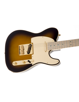 Fender Richie Kotzen Telecaster MN brown sunburst