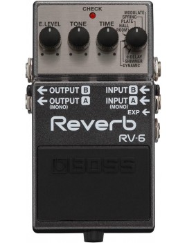 Boss RV-6 Reverb Guitar Maniac Nice