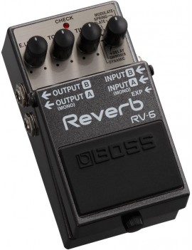 Boss RV-6 Reverb Guitar Maniac Nice